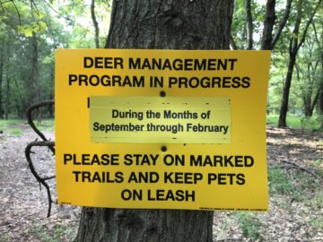 Deer Management Program Started – Ecological Preserve